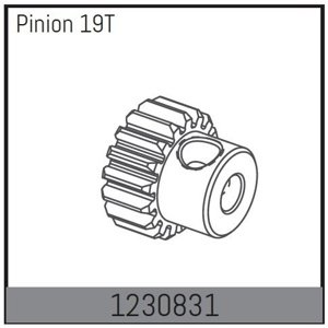 1230831 - Motor Pinion 19T RC auta RCobchod
