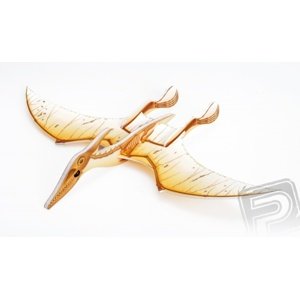 Pteranodon házedlo Modely letadel RCobchod