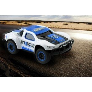 MUSCLE rally racing 1/43 bílomodrá Elektro RCobchod
